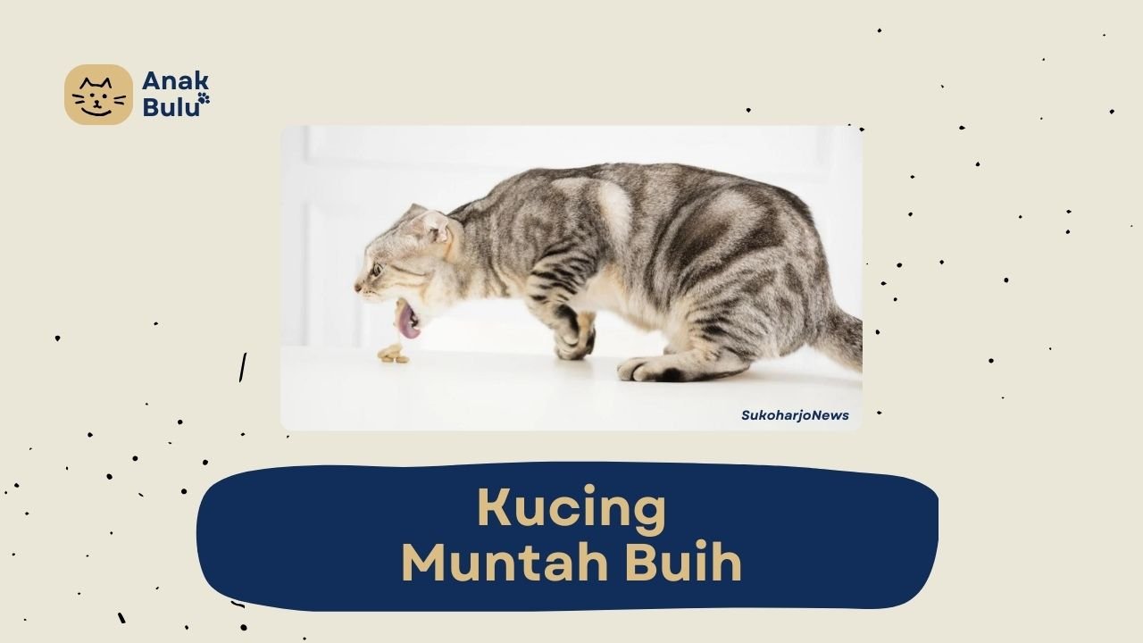 Cover Kucing Muntah Buih AnakBulu