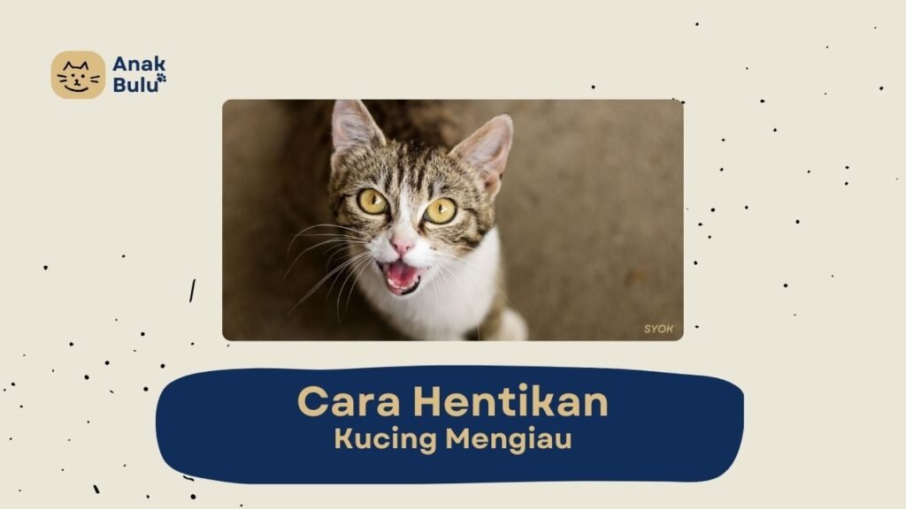 Cover Cara Hentikan Kucing Mengiau AnakBulu