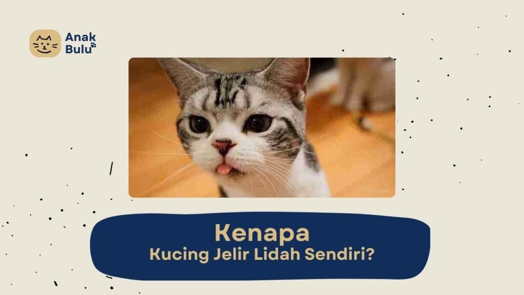 Cover Kenapa Kucing Jelir Lidah Sendiri AnakBulu