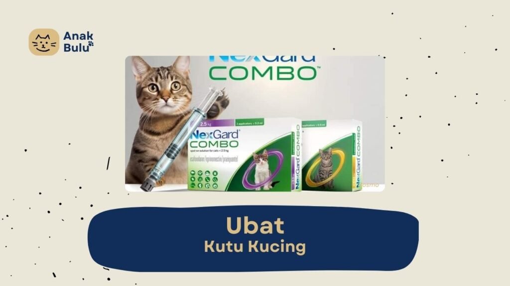 Cover Ubat Kutu Kucing AnakBulu