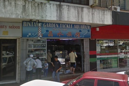 BINTANG GARDEN TACKLE AQUARIUM AND PET SHOP