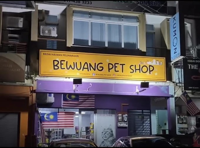 Bewuang Pet Shop