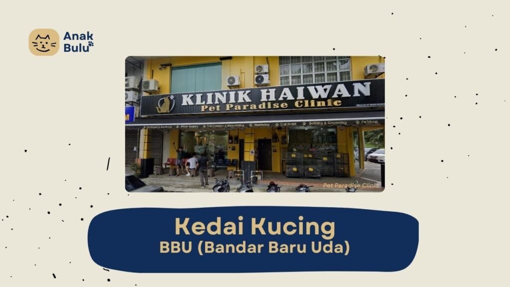 Cover Kedai Kucing BBU AnakBulu