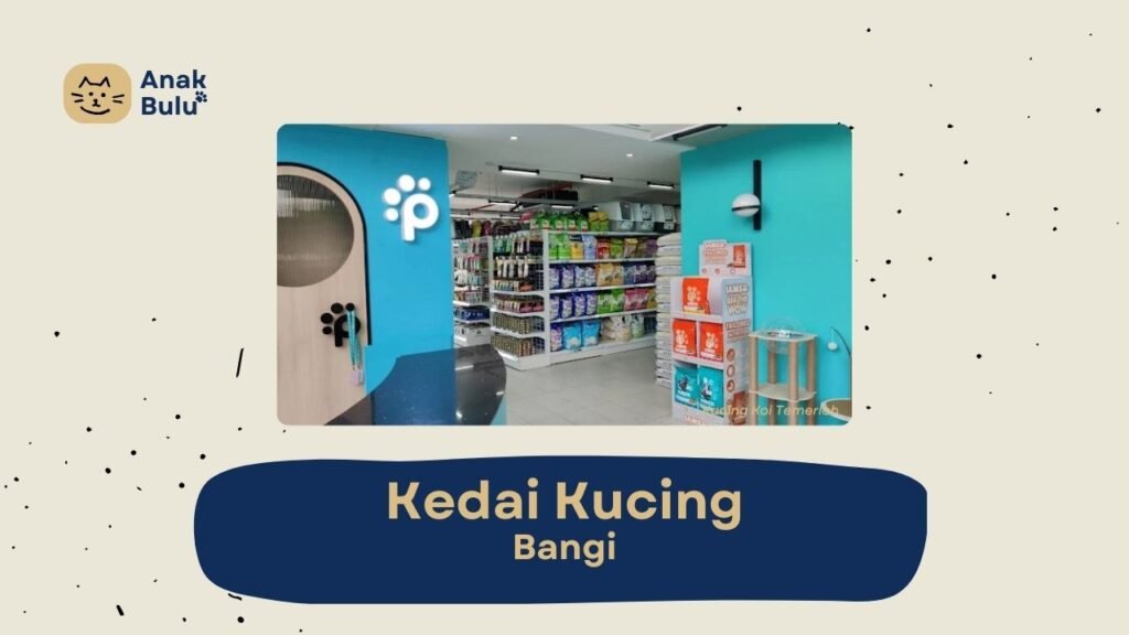 Cover Kedai Kucing Bangi AnakBulu