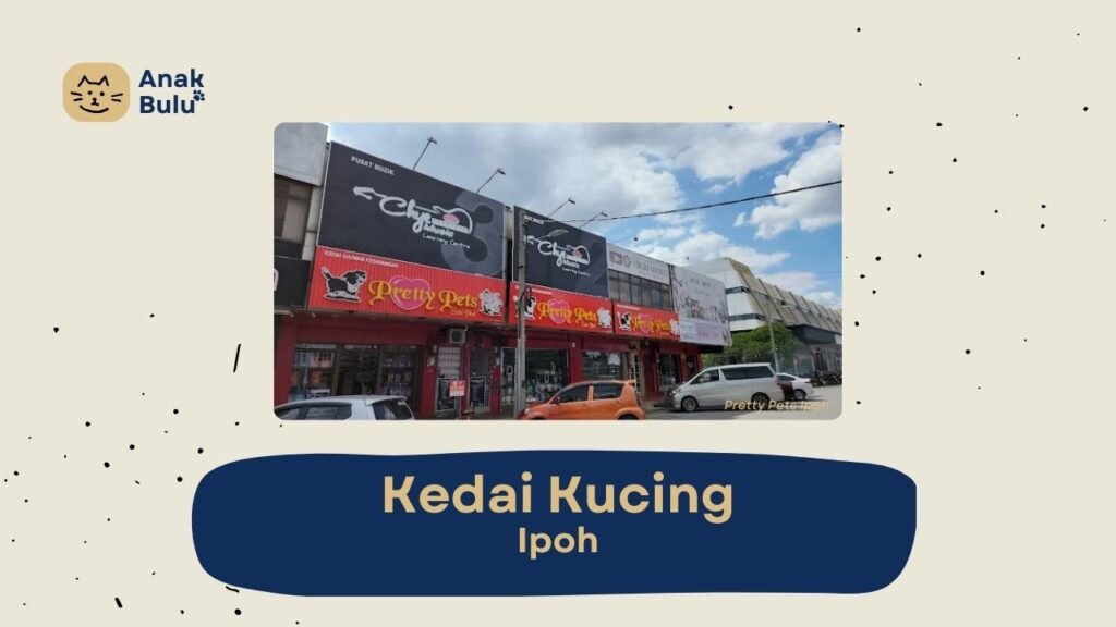 Cover Kedai Kucing Ipoh AnakBulu