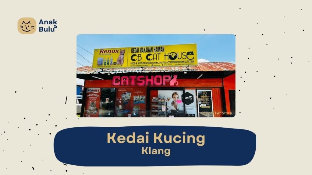 Cover Kedai Kucing Klang AnakBulu