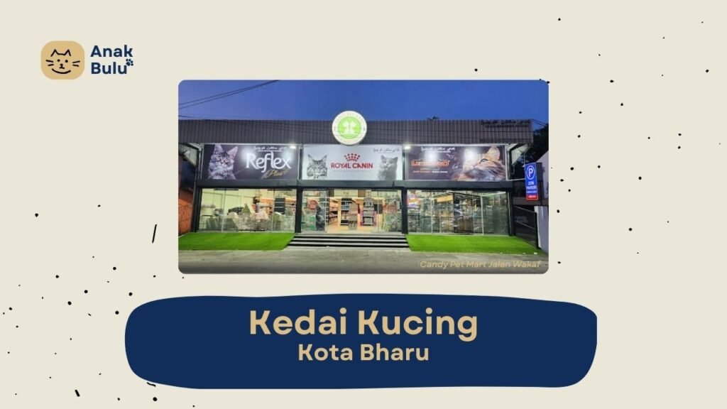 Cover Kedai Kucing Kota Bharu AnakBulu