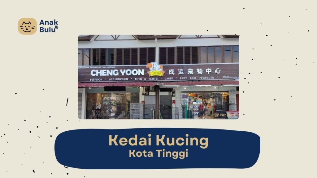 Cover Kedai Kucing Kota Tinggi AnakBulu