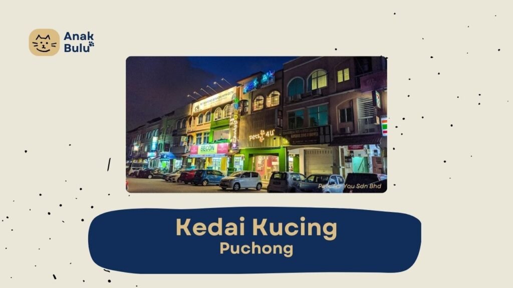 Cover Kedai Kucing Puchong AnakBulu