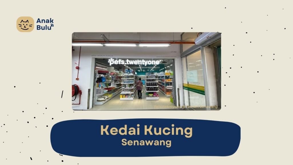 Cover Kedai Kucing Senawang AnakBulu