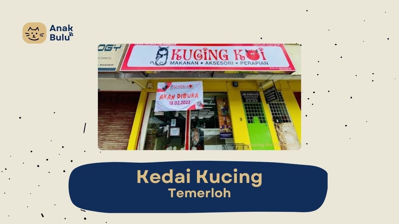 Cover Kedai Kucing Temerloh AnakBulu