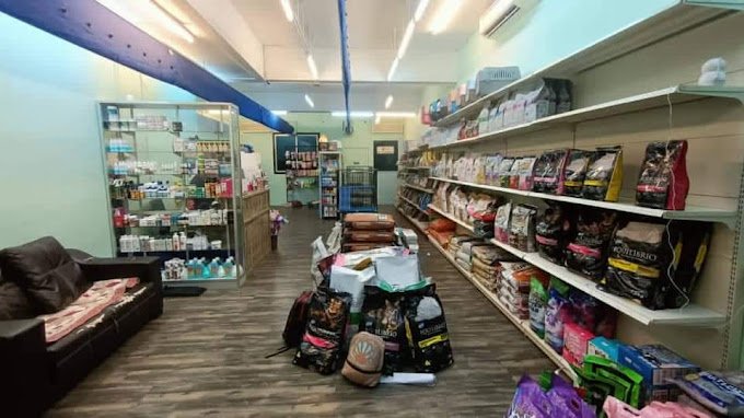 Eppy Cat House (Kuala Ibai) - Pet Shop Kedai Kucing