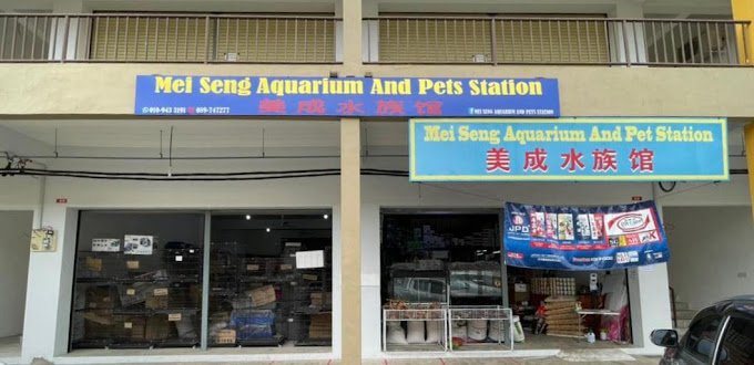 Mei Seng Aquarium & Pet SDN.BHD.