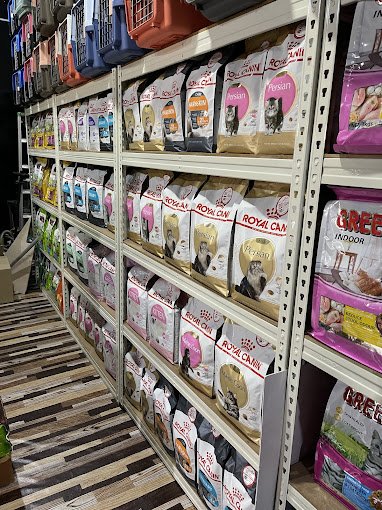 Oppa My Pet shop/ Oppa Cathouse