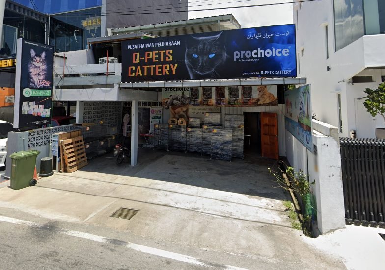 Q-Pets Cattery Kedai Kucing Kuala Terengganu