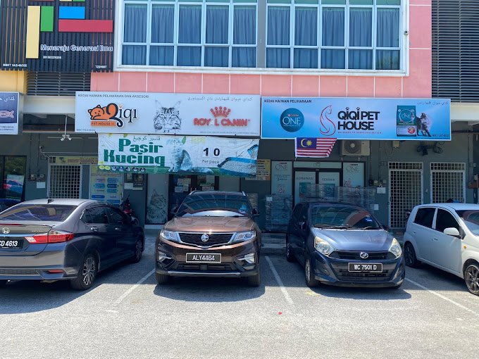 QIQI PET HOUSE (GONG BADAK)