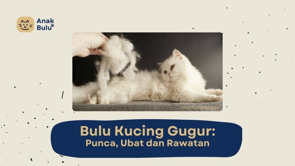 Cover Bulu Kucing Gugur AnakBulu