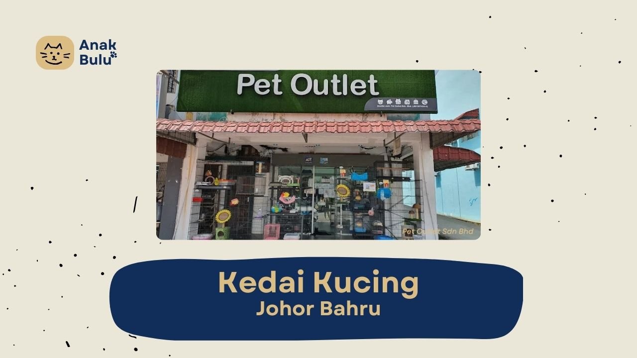 Cover Kedai Kucing Johor Bahru AnakBulu