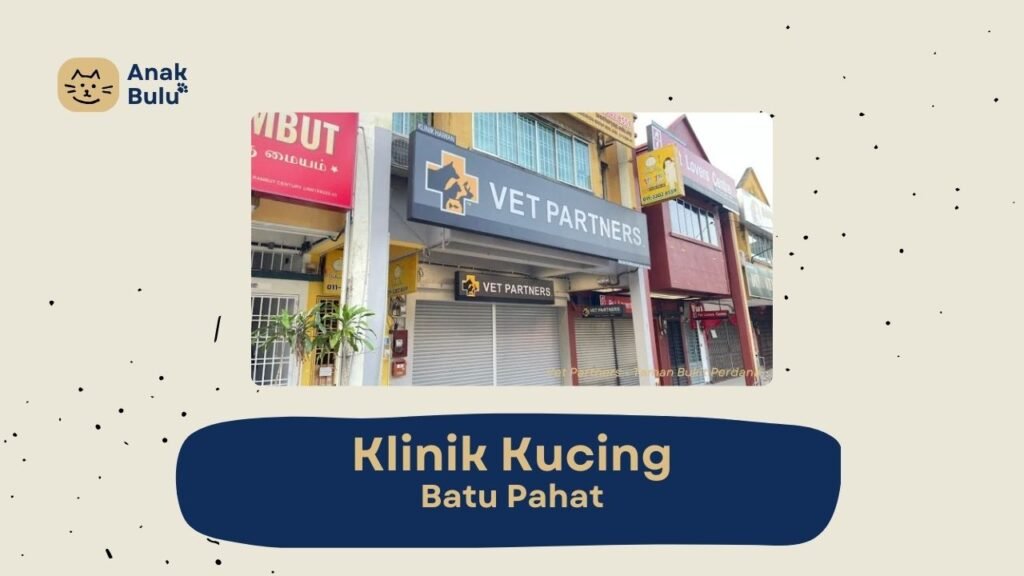 Cover Klinik Kucing Batu Pahat AnakBulu