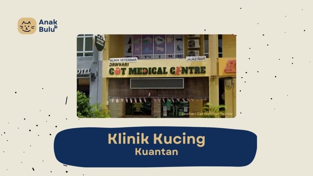 Cover Klinik Kucing Kuantan AnakBulu