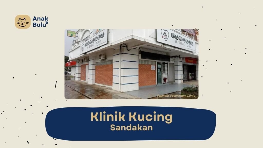 Cover Klinik Kucing Sandakan AnakBulu