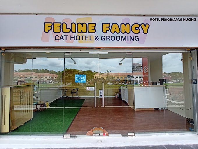 Feline Fancy Cat Hotel