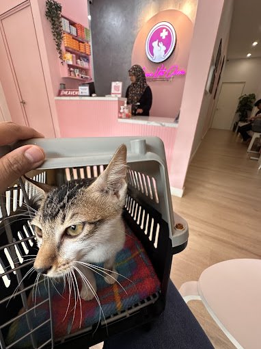 Heaven Veterinary Clinic (HVC)
