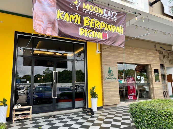 MOONCATZ