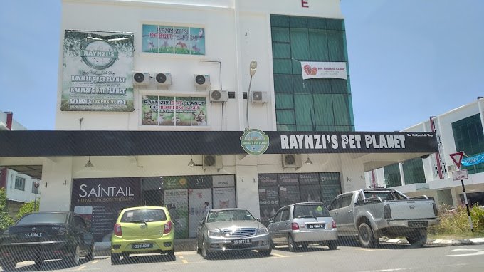 Raymzi's Pet Planet